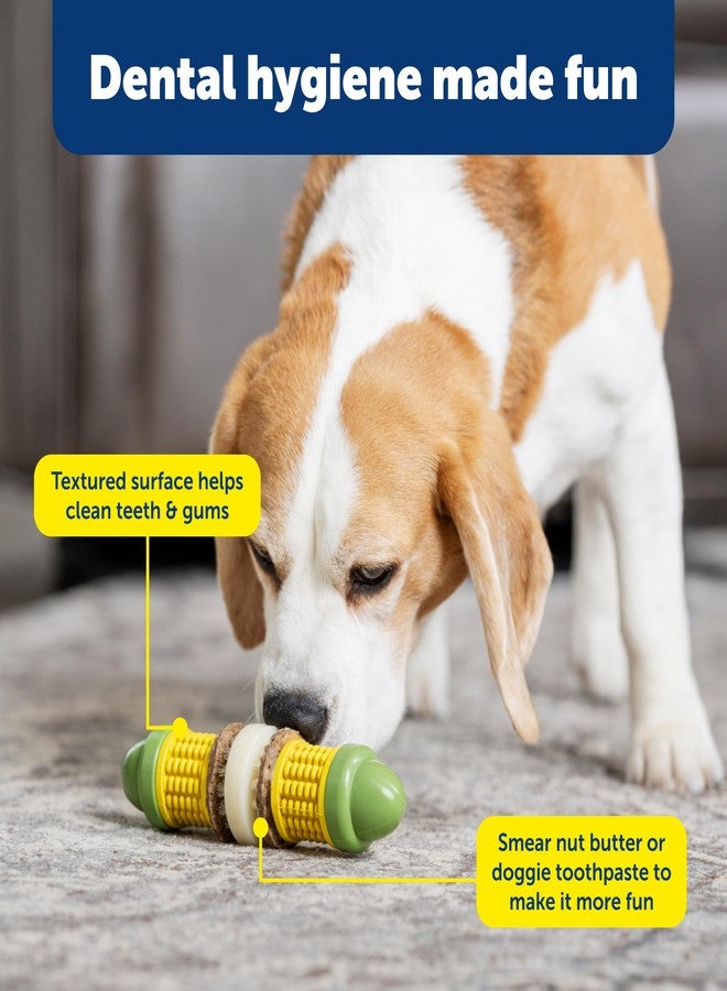 بيت سيف لعبة PetSafe Busy Buddy Cravin' Corn - لعبة تغذية بطيئة قابلة للتعديل مع حلقات مكافآت قابلة لإعادة التعبئة - تنظف الأسنان واللثة، وتعالج الملل، وتبطئ عادات الأكل - صغيرة/متوسطة - للكلاب التي يتراوح وزنها بين 25 و50 رطلاً - Image 4